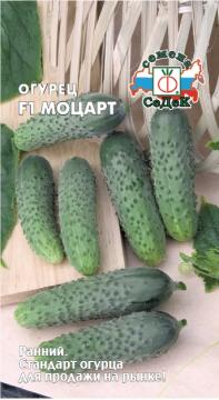 Огурец Моцарт F1  Седек