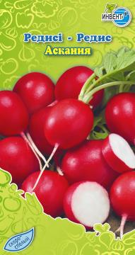 Редис Аскания  Инвент-ПлюсТұқымдар Аскания Редисі