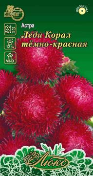 Астра Леди корал темно-красная Инвент-Плюс Тұқымдар Леди Корал Тёмно-Красная  Қашқаргүлі   / Люкс Се
