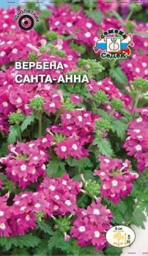 ЦВ. Вербена Санта-Анна   Седек