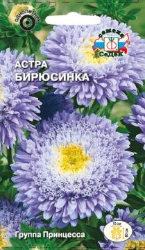 Астра Бирюсинка Седек