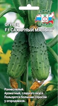 Огурец Сахарный Малыш  F1  Седек