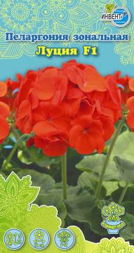 ЦВ Комн Пеларгония зональная Луция F1 Инвент-ПлюсТұқымдар Луция F1 Зоналық пеларгониясы 
