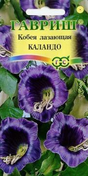 ЦВ Кобея Лазающая Каландо Гавриш