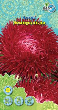 Астра Эсмиральда Инвент-Плюс Тұқымдар Эсмиральда  Қашқаргүлі