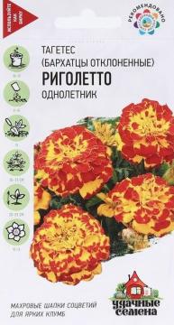 ЦВ Бархатцы прямостоячие Риголетто Гавриш