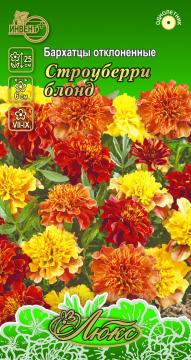 ЦВ Бархатцы отклоненные Строуберри блонд F1 Инвент-ПлюсТұқымдар Строуберри Блонд  Қайырылған барқыт 