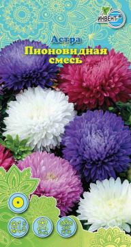 Астра Пионовидная смесь Инвент-ПлюсТұқымдар Пионовидная Қашқаргүлі Қоспа 