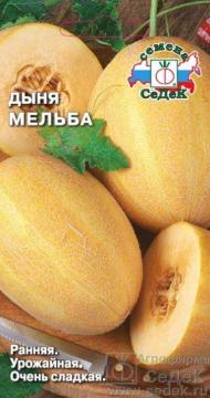 Дыня Мельба Седек
