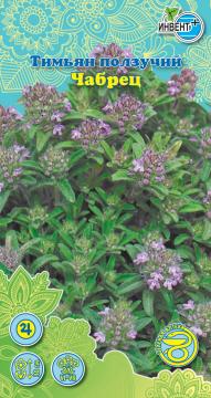 *Тимьян ползучий (Чабрец) Инвент-ПлюсТұқымдар Тимьян Ползучий (Тасшөбі)