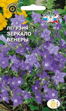 ЦВ. Легузия Зеркало Венеры  (голубая) Седек