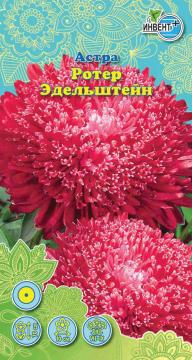 Астра Ротер эдельштейн Инвент-Плюс Тұқымдар Ротер Эдельштейн Қашқаргүлі