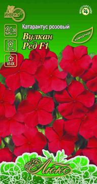 ЦВ Комн Катарантус Вулкан Ред F1 Инвент-ПлюсТұқымдар Вулкан Ред F1 Қызғылт катарантус