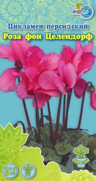ЦВ Комн Цикламен персидский мини Роза фон Целендорф Инвент-ПлюсТұқымдар Роза Фон Целендорф   Кішкент
