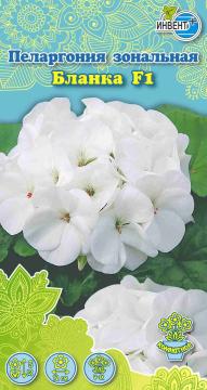 ЦВ Комн Пеларгония зональная Бланка F1 Инвент-ПлюсТұқымдар Бланка F1 Зоналық пеларгониясы 