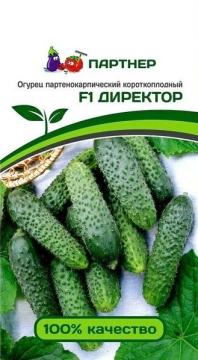 Огурец Директор F1(5шт) Партнёр*