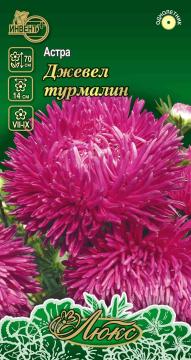 Астра Джевел Турмалин Инвент-Плюс Тұқымдар Джевел Турмалин Қашқаргүлі   / Люкс Сериясы
