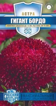 Астра Гигант бордо Гавриш