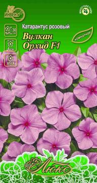 ЦВ Комн Катарантус Вулкан Орхид F1 Инвент-ПлюсТұқымдар Вулкан F1 Орхид  Қызғылт катарантус 