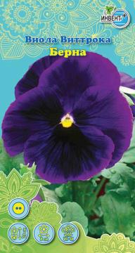 ЦВ Виола Виттрока Берна Инвент-ПлюсТұқымдар Берна Виола виттракасы