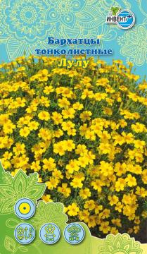 ЦВ Бархатцы тонколистные Лулу Инвент-Плюс, Тұқымдар Лулу Жұқа жапырақты барқыттары