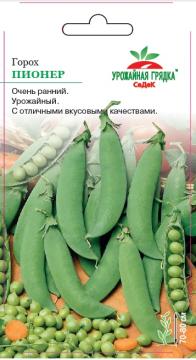 Горох Пионер Седек