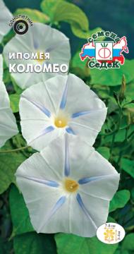 ЦВ. Ипомея Коломбо  Седек