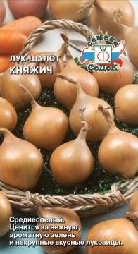 Лук Княжич (ШАЛОТ) Седек