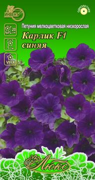 ЦВ Петуния низкорослая Карлик F1 синяя Инвент - плюсТұқымдар Карлик F1 Синяя Төмен өскіш петуниясы 