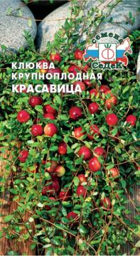 Клюква Красавица Седек