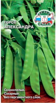 Горох Александра Седек