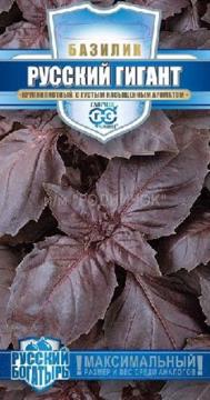 *Базилик Русский гигант, фиолетовый (сер Русск богатырь) Гавриш
