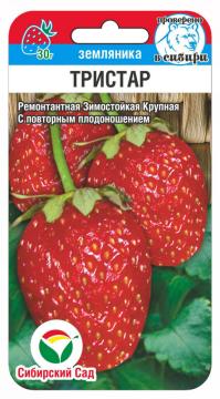 Земляника Тристар (Сиб.сад)*