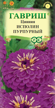 ЦВ Цинния Исполин пурпурный  Гавриш