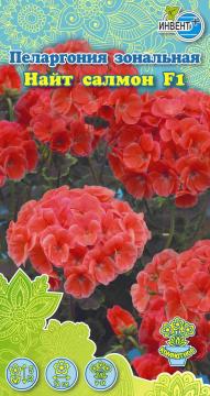 ЦВ Комн Пеларгония зональная Найт салмон F1 Инвент-ПлюсТұқымдар Найт Салмон  F1 Зоналық пеларгониясы