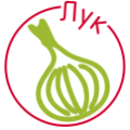 Лук