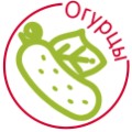 Огурцы