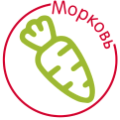 Морковь